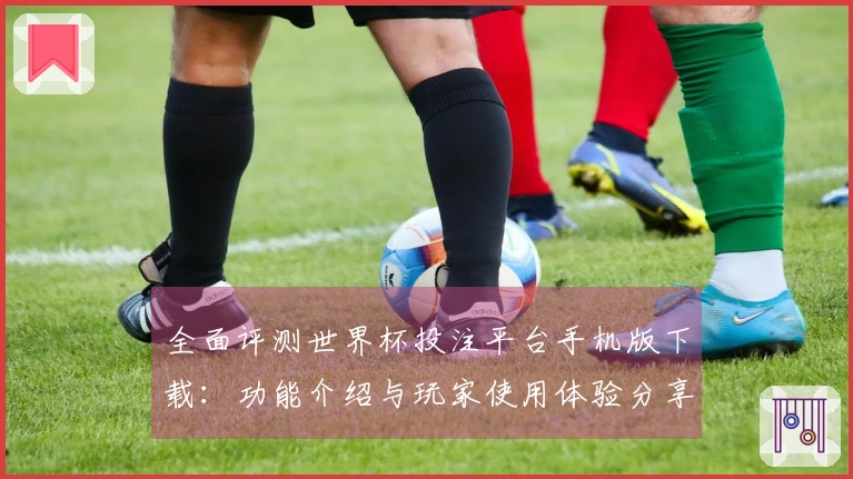 全面评测世界杯投注平台手机版下载：功能介绍与玩家使用体验分享