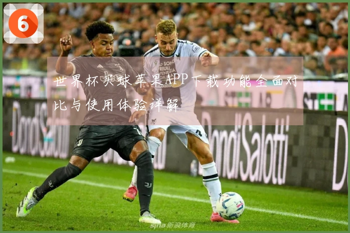 世界杯买球苹果APP下载功能全面对比与使用体验详解
