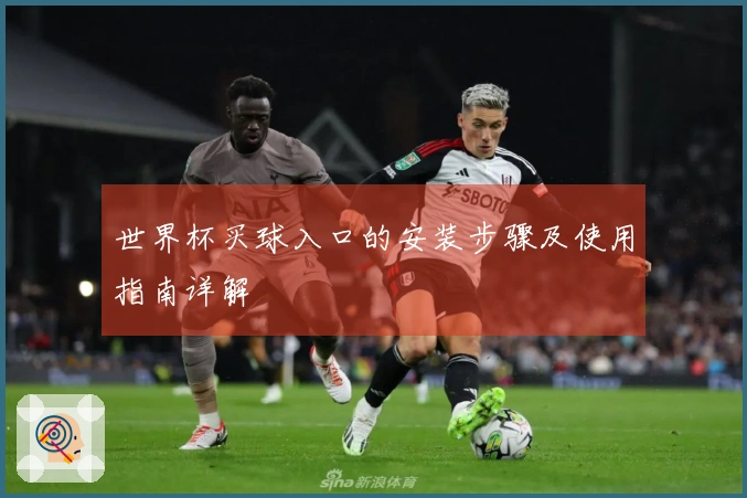 世界杯买球入口的安装步骤及使用指南详解