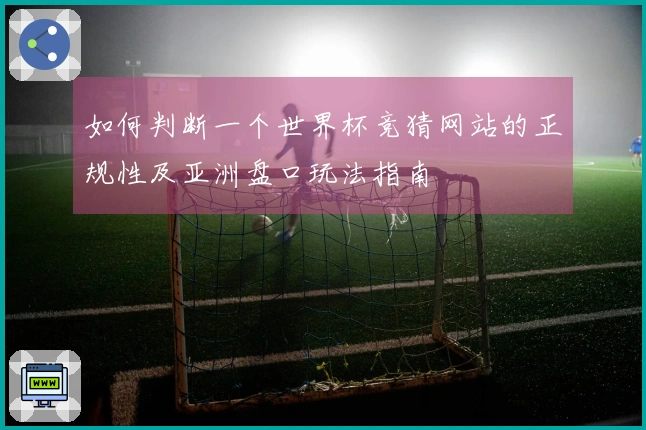 如何判断一个世界杯竞猜网站的正规性及亚洲盘口玩法指南