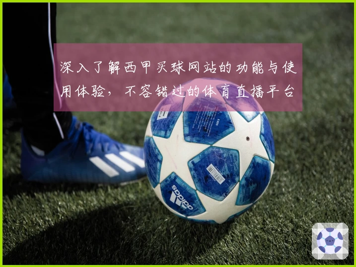 深入了解西甲买球网站的功能与使用体验，不容错过的体育直播平台选择