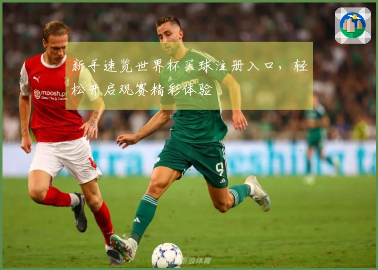 新手速览世界杯买球注册入口，轻松开启观赛精彩体验