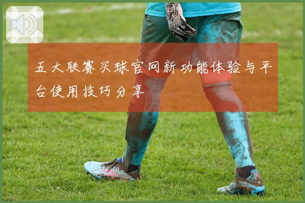 五大联赛买球官网新功能体验与平台使用技巧分享