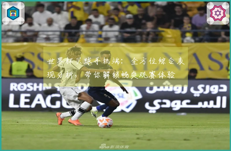 世界杯买球手机端:全方位综合表现分析,带你解锁畅爽观赛体验