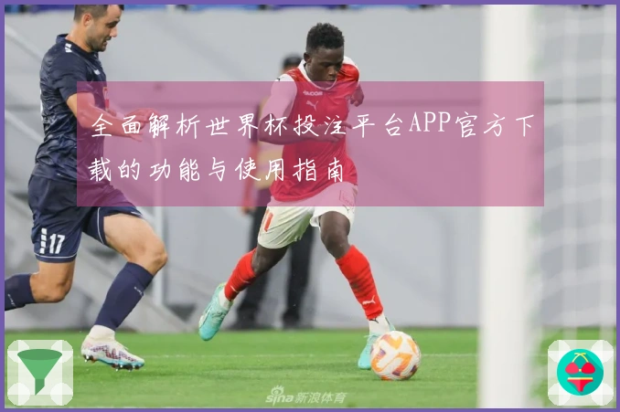 全面解析世界杯投注平台APP官方下载的功能与使用指南